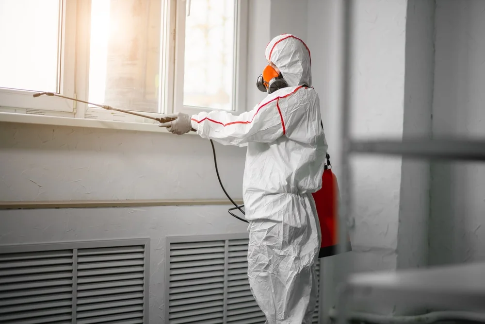 Professional mold remediation services in Tripoli, WI